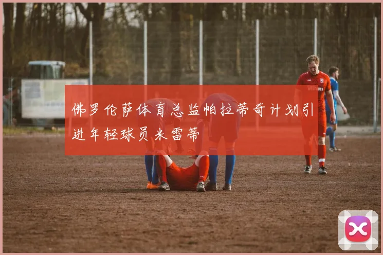佛罗伦萨体育总监帕拉蒂奇计划引进年轻球员米雷蒂